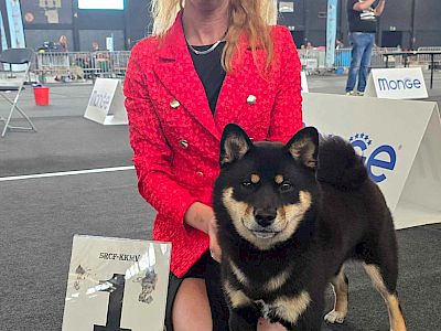 American Triumph Witchling &raquo; Ciri: afbeelding 6