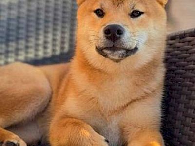 Hiraya Manawari Xplore the Destiny &raquo; Yenna: afbeelding 2