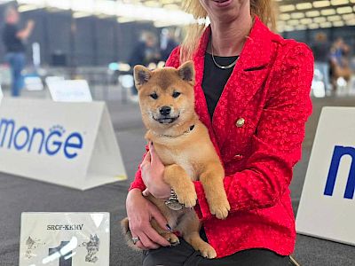 Hiraya Manawari Xplore the Destiny &raquo; Yenna: afbeelding 4